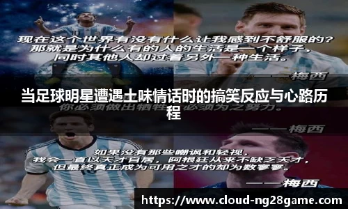 ng28官网